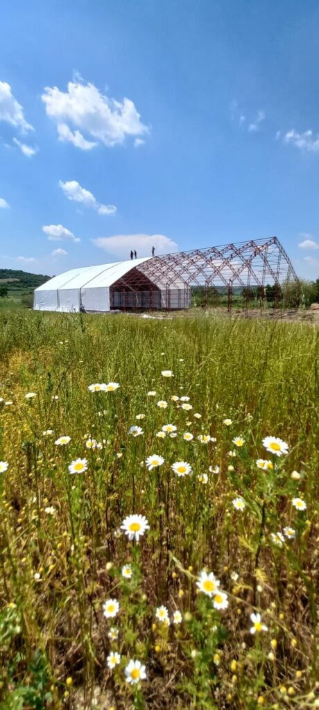 Edirne Hangar Çadırı